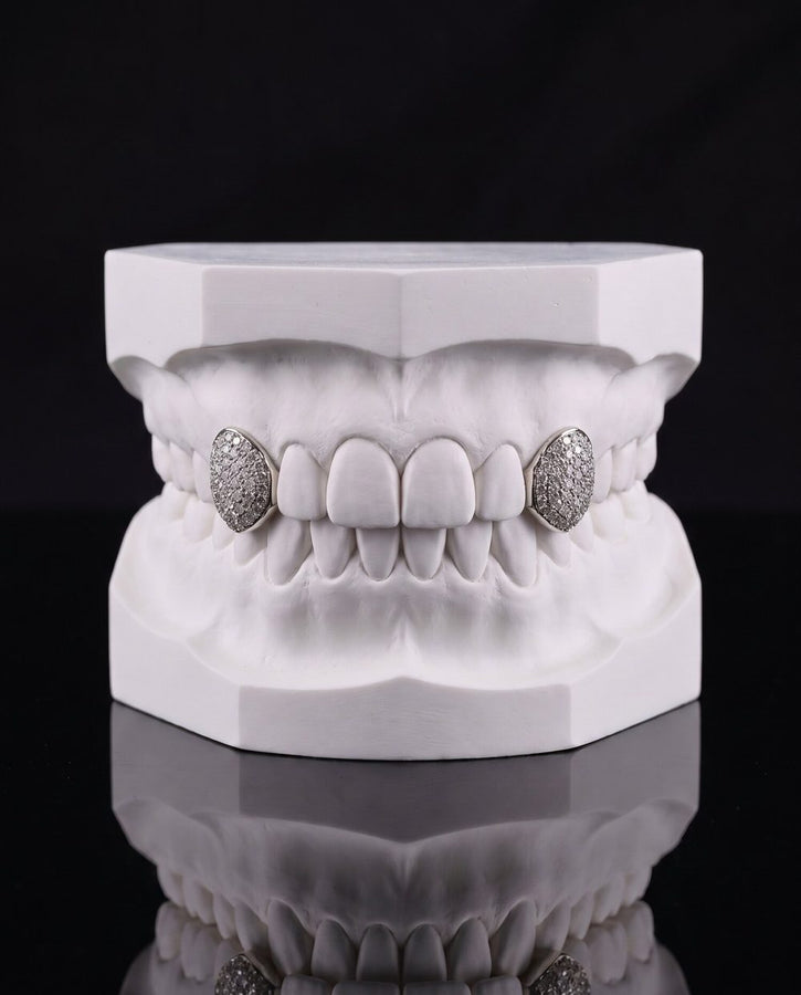 Iced Canines